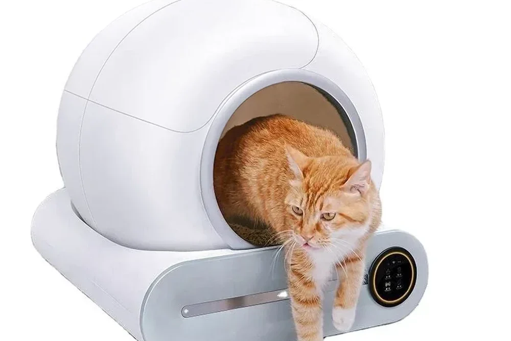 Un chat roux descend du socle de la litière autonettoyante Ronroza